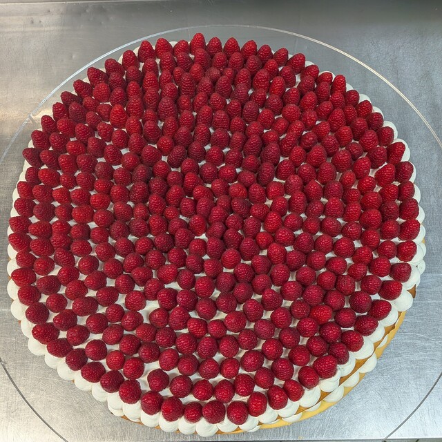 PXL_20250908_055136403-1